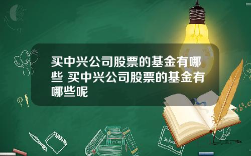 买中兴公司股票的基金有哪些 买中兴公司股票的基金有哪些呢
