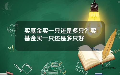 买基金买一只还是多只？买基金买一只还是多只好
