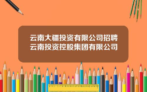 云南大疆投资有限公司招聘云南投资控股集团有限公司