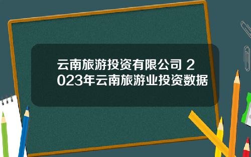 云南旅游投资有限公司 2023年云南旅游业投资数据