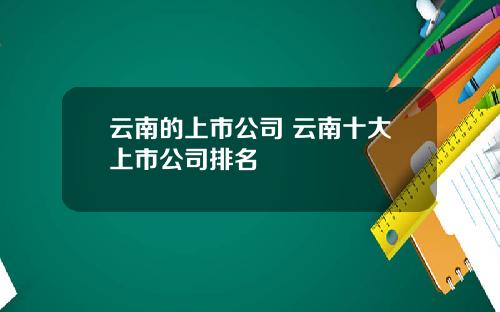 云南的上市公司 云南十大上市公司排名
