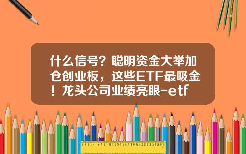 什么信号？聪明资金大举加仓创业板，这些ETF最吸金！龙头公司业绩亮眼-etf基金收益排名