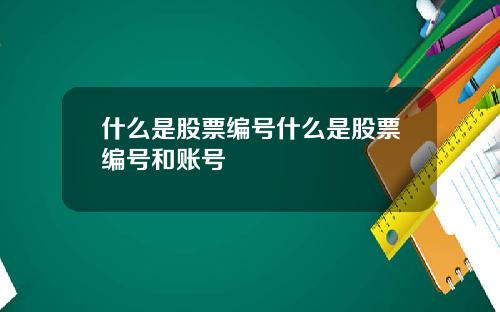 什么是股票编号什么是股票编号和账号