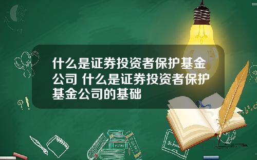 什么是证券投资者保护基金公司 什么是证券投资者保护基金公司的基础