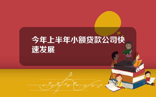 今年上半年小额贷款公司快速发展