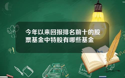 今年以来回报排名前十的股票基金中特股有哪些基金