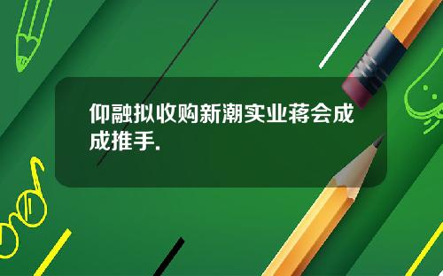 仰融拟收购新潮实业蒋会成成推手.