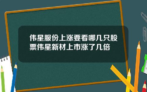 伟星服份上涨要看哪几只股票伟星新材上市涨了几倍