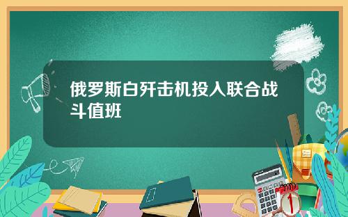 俄罗斯白歼击机投入联合战斗值班