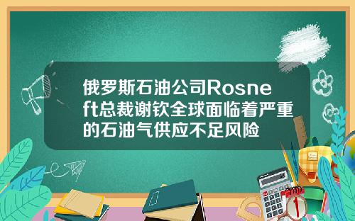 俄罗斯石油公司Rosneft总裁谢钦全球面临着严重的石油气供应不足风险