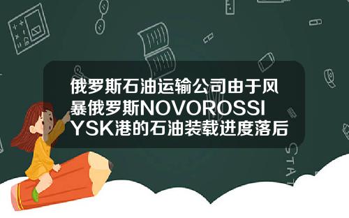 俄罗斯石油运输公司由于风暴俄罗斯NOVOROSSIYSK港的石油装载进度落后