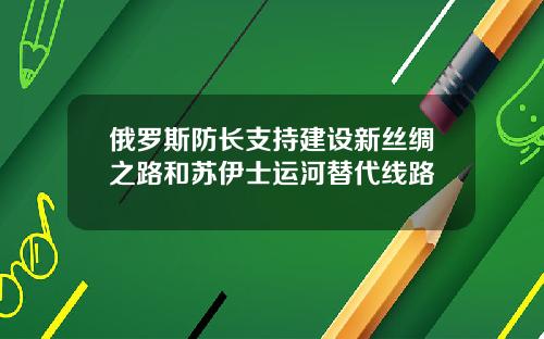 俄罗斯防长支持建设新丝绸之路和苏伊士运河替代线路
