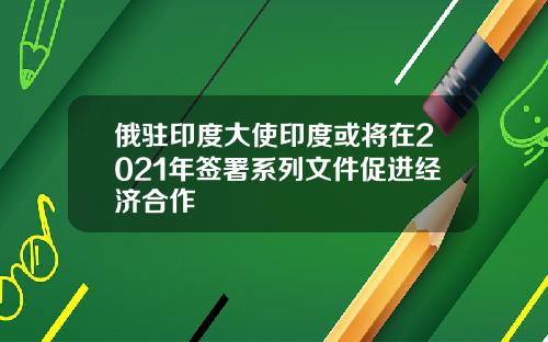 俄驻印度大使印度或将在2021年签署系列文件促进经济合作
