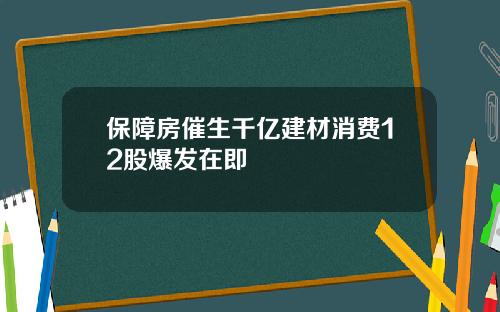 保障房催生千亿建材消费12股爆发在即