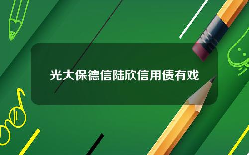 光大保德信陆欣信用债有戏