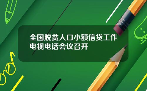 全国脱贫人口小额信贷工作电视电话会议召开