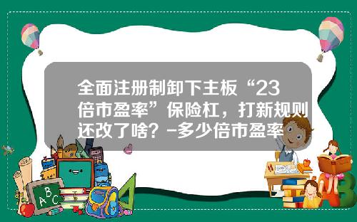 全面注册制卸下主板“23倍市盈率”保险杠，打新规则还改了啥？-多少倍市盈率