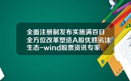 全面注册制发布实施满百日全方位改革塑造A股优胜劣汰生态-wind股票资讯专家破解版