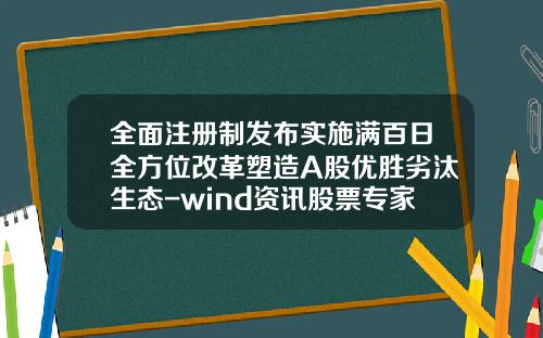 全面注册制发布实施满百日全方位改革塑造A股优胜劣汰生态-wind资讯股票专家账号注册