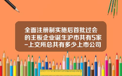全面注册制实施后首批过会的主板企业诞生沪市共有5家-上交所总共有多少上市公司