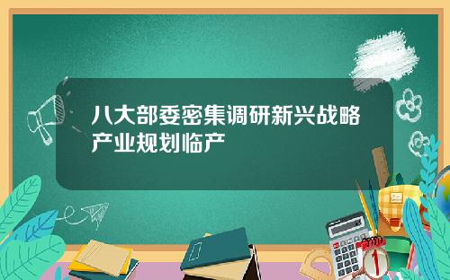 八大部委密集调研新兴战略产业规划临产