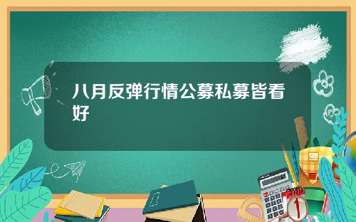 八月反弹行情公募私募皆看好