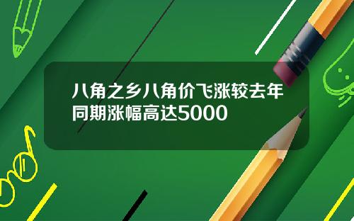 八角之乡八角价飞涨较去年同期涨幅高达5000