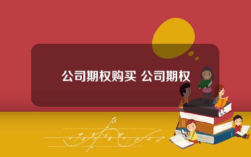 公司期权购买 公司期权