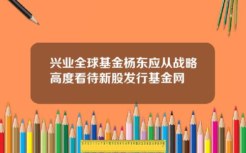 兴业全球基金杨东应从战略高度看待新股发行基金网