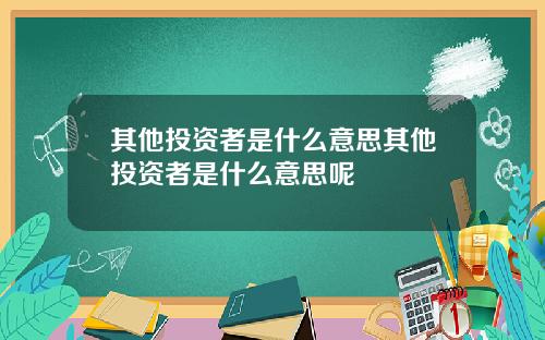 其他投资者是什么意思其他投资者是什么意思呢