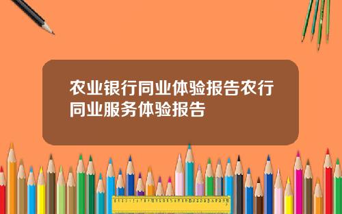 农业银行同业体验报告农行同业服务体验报告