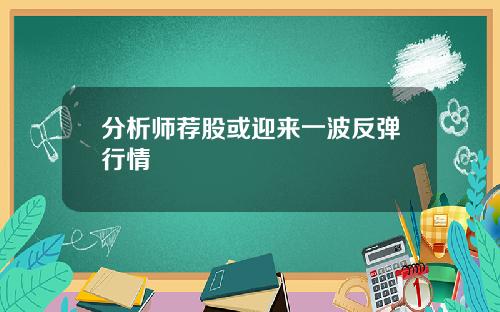 分析师荐股或迎来一波反弹行情