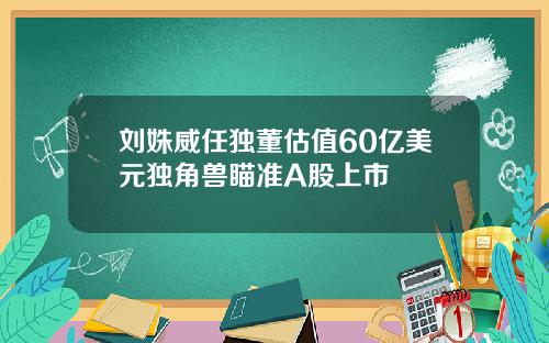 刘姝威任独董估值60亿美元独角兽瞄准A股上市