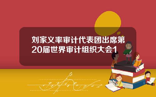 刘家义率审计代表团出席第20届世界审计组织大会1