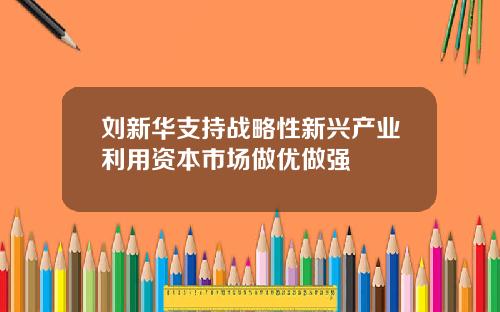 刘新华支持战略性新兴产业利用资本市场做优做强
