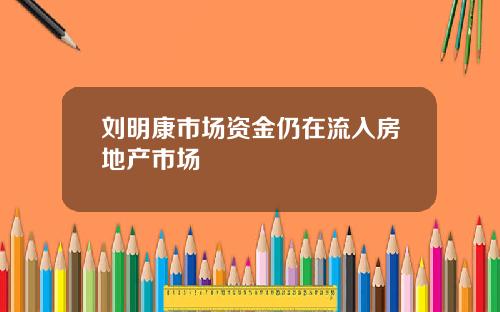 刘明康市场资金仍在流入房地产市场