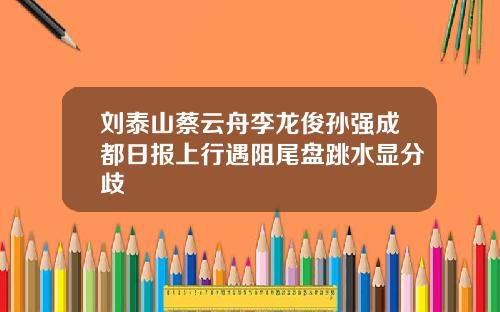 刘泰山蔡云舟李龙俊孙强成都日报上行遇阻尾盘跳水显分歧