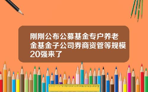 刚刚公布公募基金专户养老金基金子公司券商资管等规模20强来了