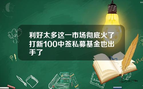 利好太多这一市场彻底火了打新100中签私募基金也出手了
