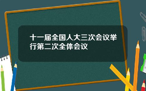 十一届全国人大三次会议举行第二次全体会议