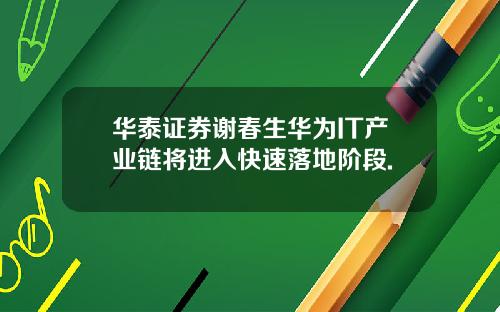 华泰证券谢春生华为IT产业链将进入快速落地阶段.