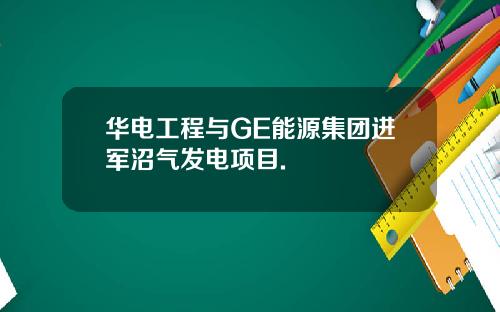 华电工程与GE能源集团进军沼气发电项目.
