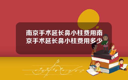 南京手术延长鼻小柱费用南京手术延长鼻小柱费用多少