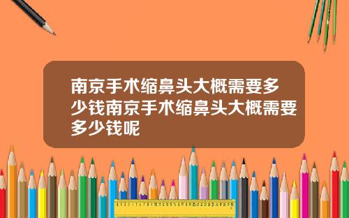 南京手术缩鼻头大概需要多少钱南京手术缩鼻头大概需要多少钱呢
