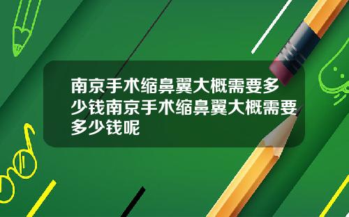 南京手术缩鼻翼大概需要多少钱南京手术缩鼻翼大概需要多少钱呢
