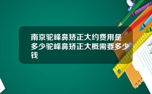 南京驼峰鼻矫正大约费用是多少驼峰鼻矫正大概需要多少钱