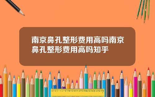 南京鼻孔整形费用高吗南京鼻孔整形费用高吗知乎