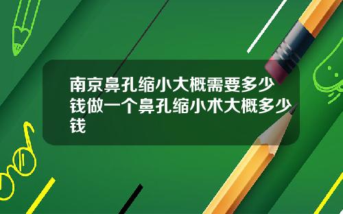 南京鼻孔缩小大概需要多少钱做一个鼻孔缩小术大概多少钱