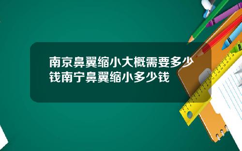 南京鼻翼缩小大概需要多少钱南宁鼻翼缩小多少钱