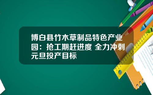 博白县竹木草制品特色产业园:抢工期赶进度 全力冲刺元旦投产目标